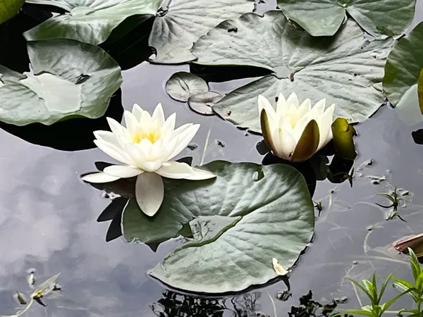 05